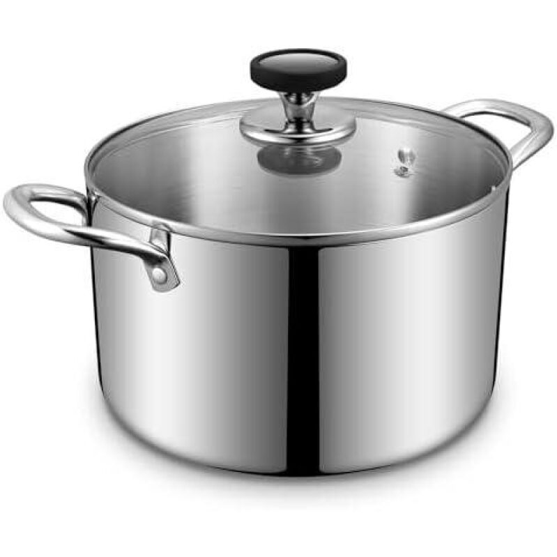 Triple Layer Stainless Steel Pot with Lid - 6.5 Quarts, Double Handles, 18% Discount