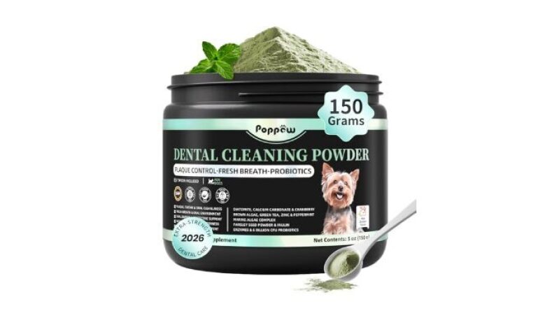POPPAW Dog Dental Powder – Teeth Cleaning Powder with 6B CFU Probiotics, Enzymes & Antioxidants, Plaque & Tartar Off, Fresh Breath Support, 75 Days, Mint Chicken Flavor, No Brushing Oral Care