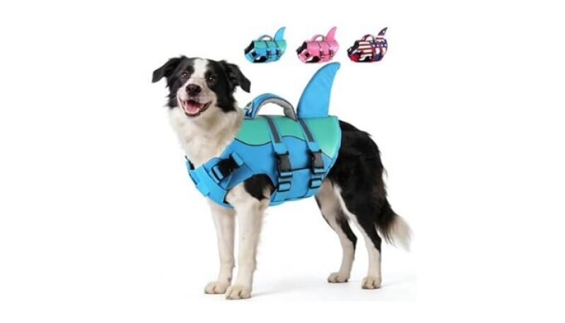 Dog Shark Life Vest with Superior Buoyancy and Rescue Handle
