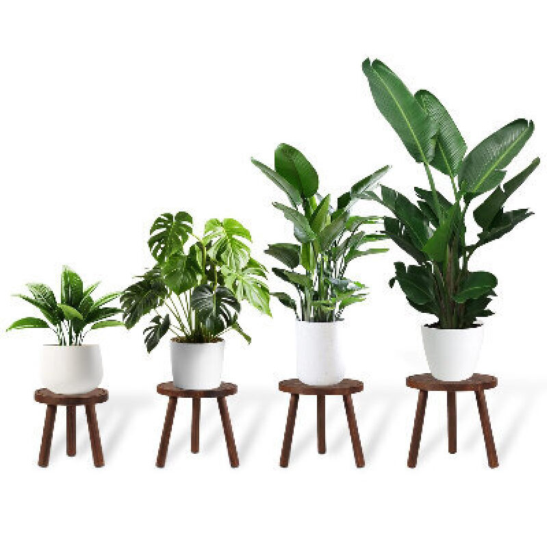Elevate Your Space with TOMSHUB Wooden Plant Stands - 4-Piece Set