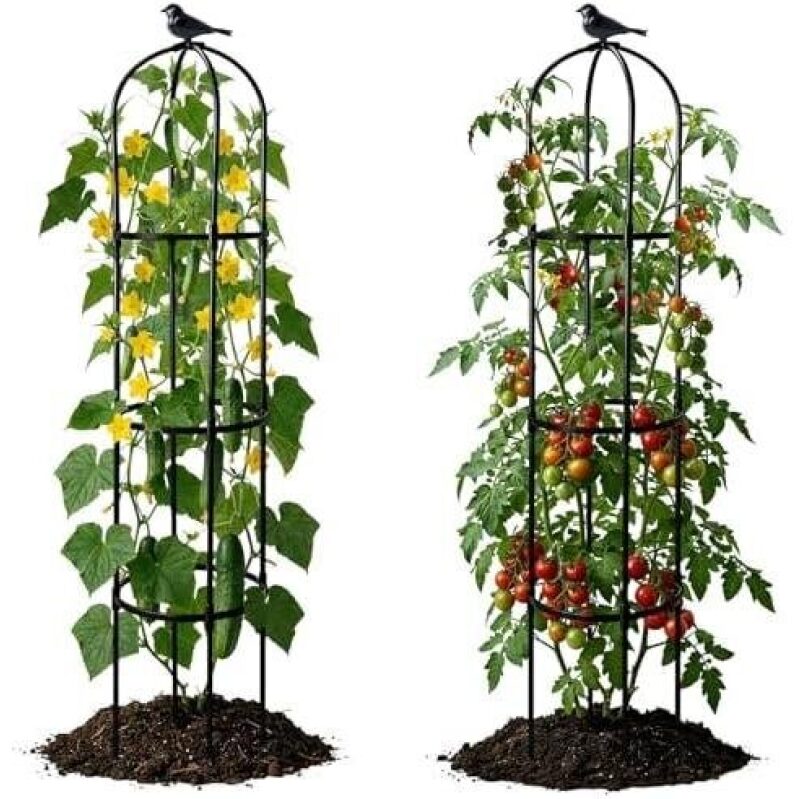2 Pack Garden Obelisks for Climbing Plants - 34% Off