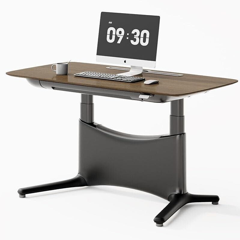 Colamy 55x28-in Dual Motor Electric Standing Desk - Walnut + Black