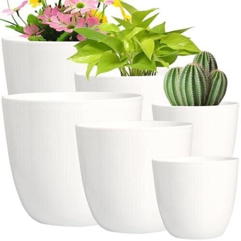 Elevate Your Space with Youngever 6 Pack Plastic Flower Pots - 50% OFF
