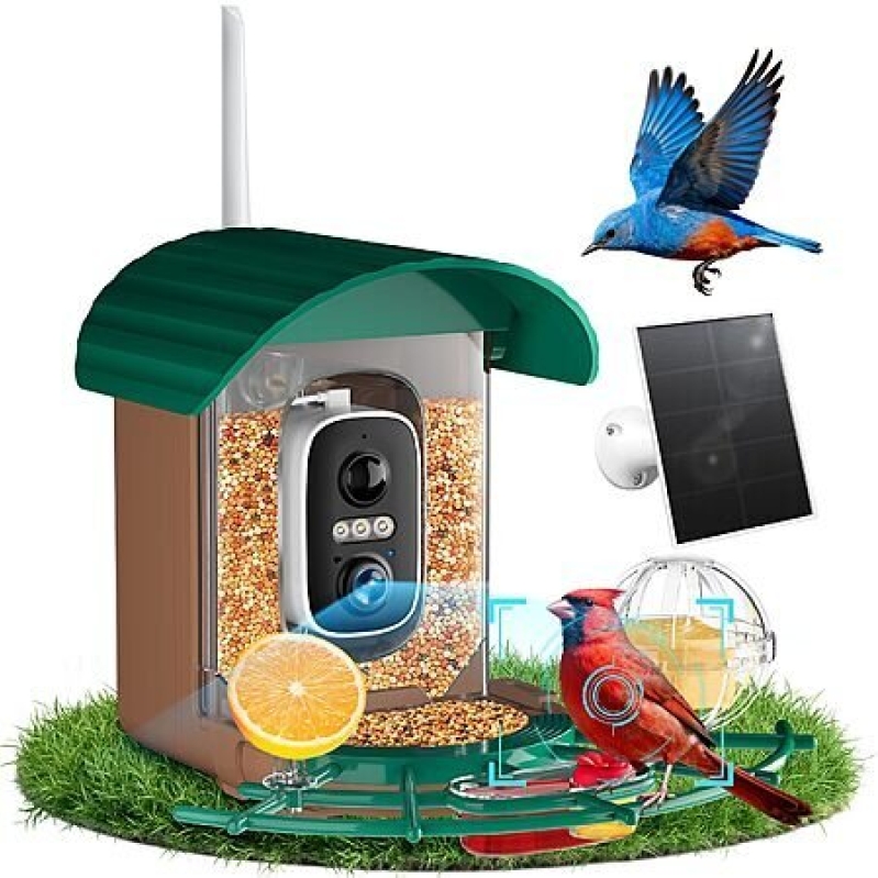NIORSUN Smart Bird Feeder – Solar Powered, 2K HD Video, AI Recognition, Night Vision