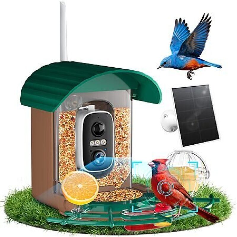 NIORSUN Smart Bird Feeder – Solar Powered, 2K HD Video, AI Recognition, Night Vision