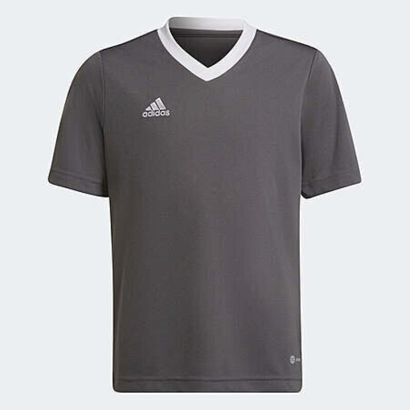 adidas Kids' Entrada 22 Jersey - Team Grey Four - Unbeatable Price