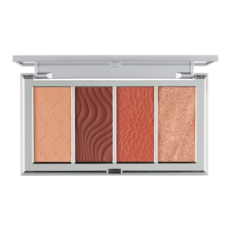 Pur Minerals 4-in-1 Skin-Perfecting Powders Face Palette - Enhance Your Look