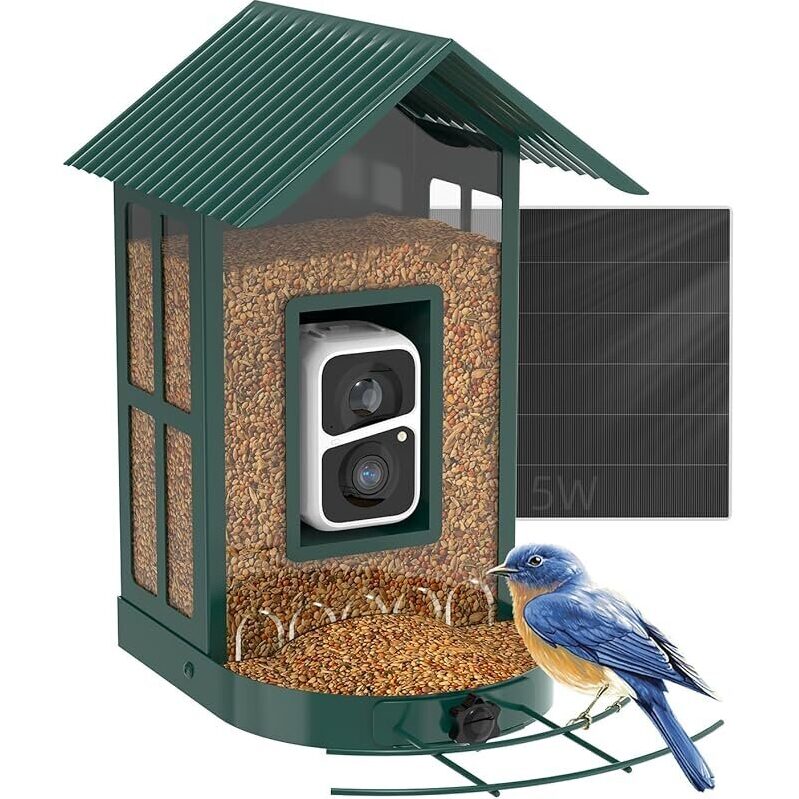 Capture Bird Visits with Soliom Bird Feeder and Camera
