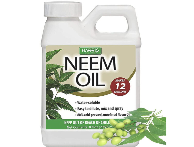 Discounted Harris Neem Oil - Natural Fungicide for Plants