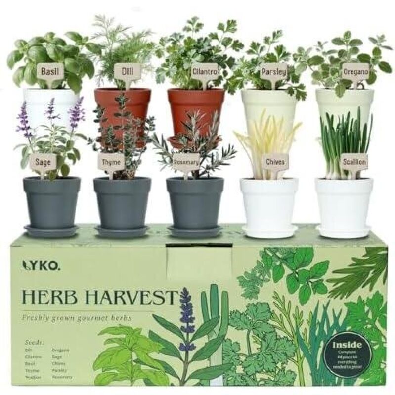 LYKO Herb Harvest Set: 10-Piece Indoor Herb Planting Kit - 50% Discount