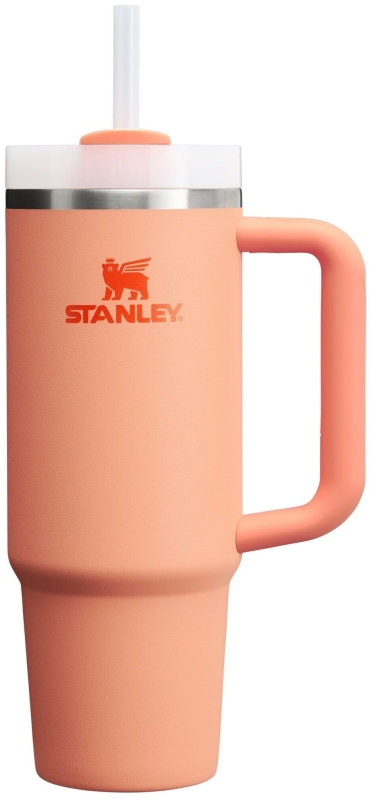 STANLEY Quencher H2.0 Tumbler with Handle and Straw 30oz