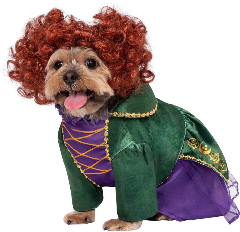 Winifred Sanderson Pet Costume for Hocus Pocus Fans