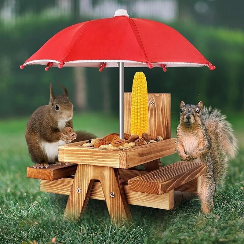 Squirrel Feeder with Umbrella - Comfortable Outdoor Dining for Squirrels