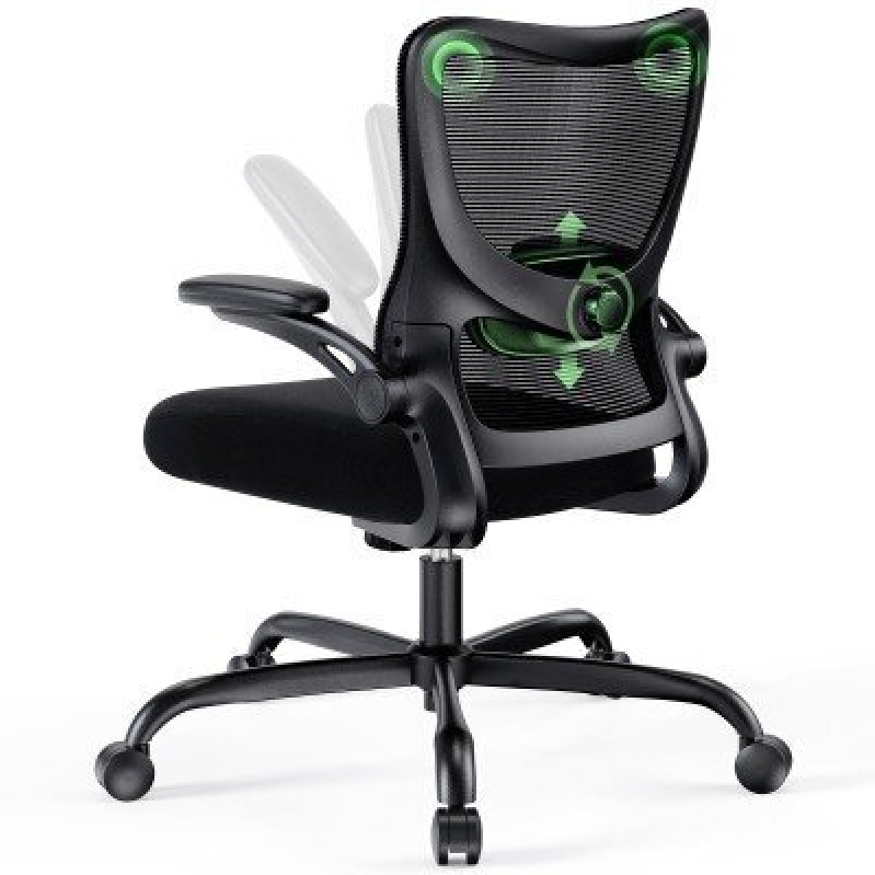 Ergonomic Office Chair with Lumbar Support and Adjustable Height
