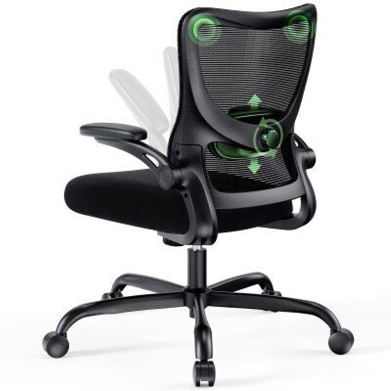 Ergonomic Office Chair with Lumbar Support and Adjustable Height