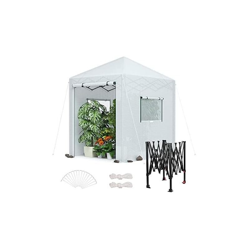 Spacious Instant Pop-up Heavy Duty Walk-In Greenhouse for Plants
