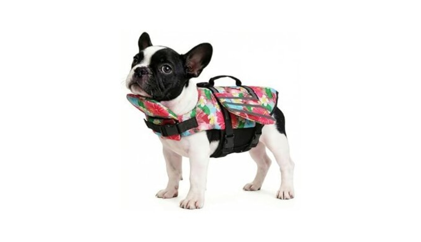 Petglad Dog Life Jacket Wings: Safety and Style for Your Dog