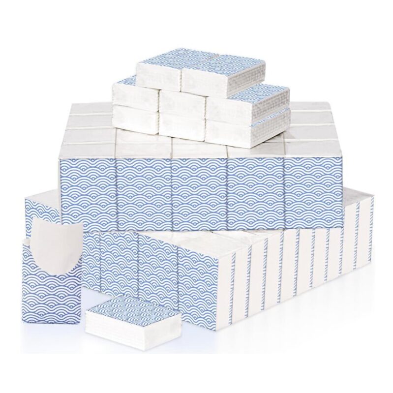 DegMongee 100 Pack Pocket Tissues - Travel Packs, 700 Sheets