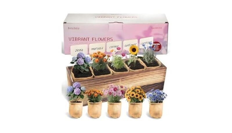 10 Indoor Herb Garden Kit with 33pcs Starter Set