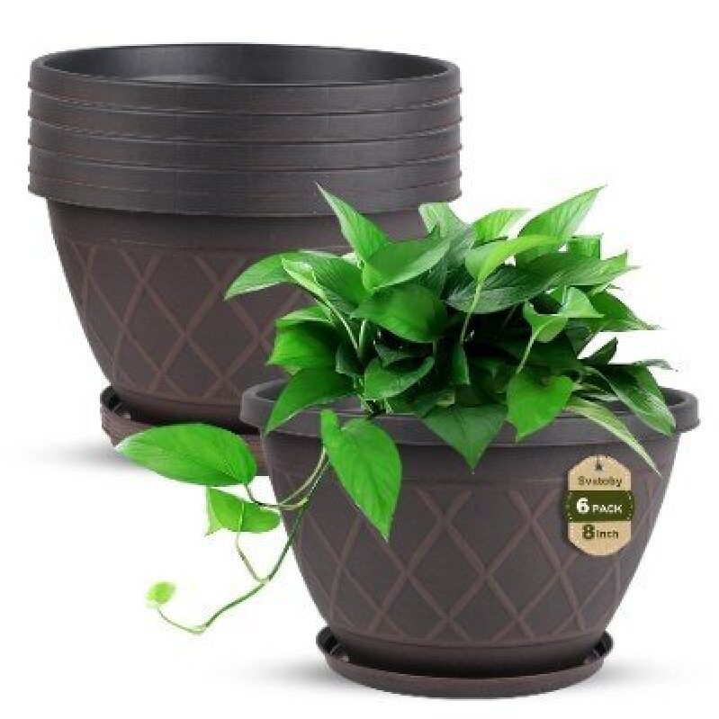 Elevate Your Space with 6 Stylish 8-Inch Plant Pots