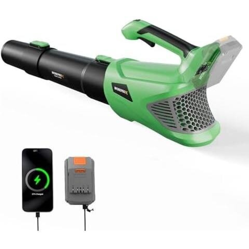 Efficient 20V Lithium-Ion Handheld Leaf Blower - 50% Discount