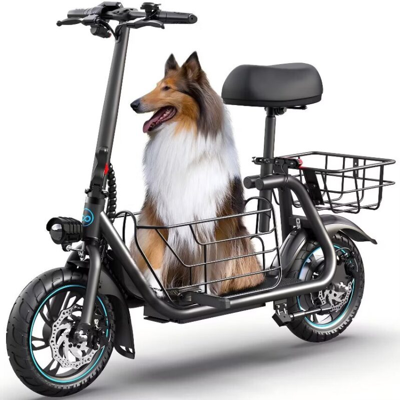 Mastgoal 550W Electric Scooter with Seat - Best Value for Safety and Comfort