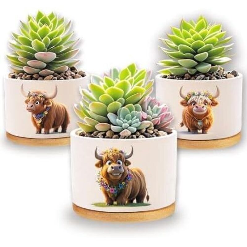 Premium Ceramic Plant Pots for Succulents - 3 Pack, 39% Discount