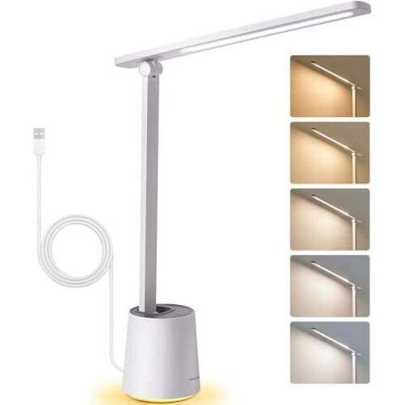 Pak LED Lamp/5 Modes Eye-Friendly Portable Desk Lamp 50% OFF