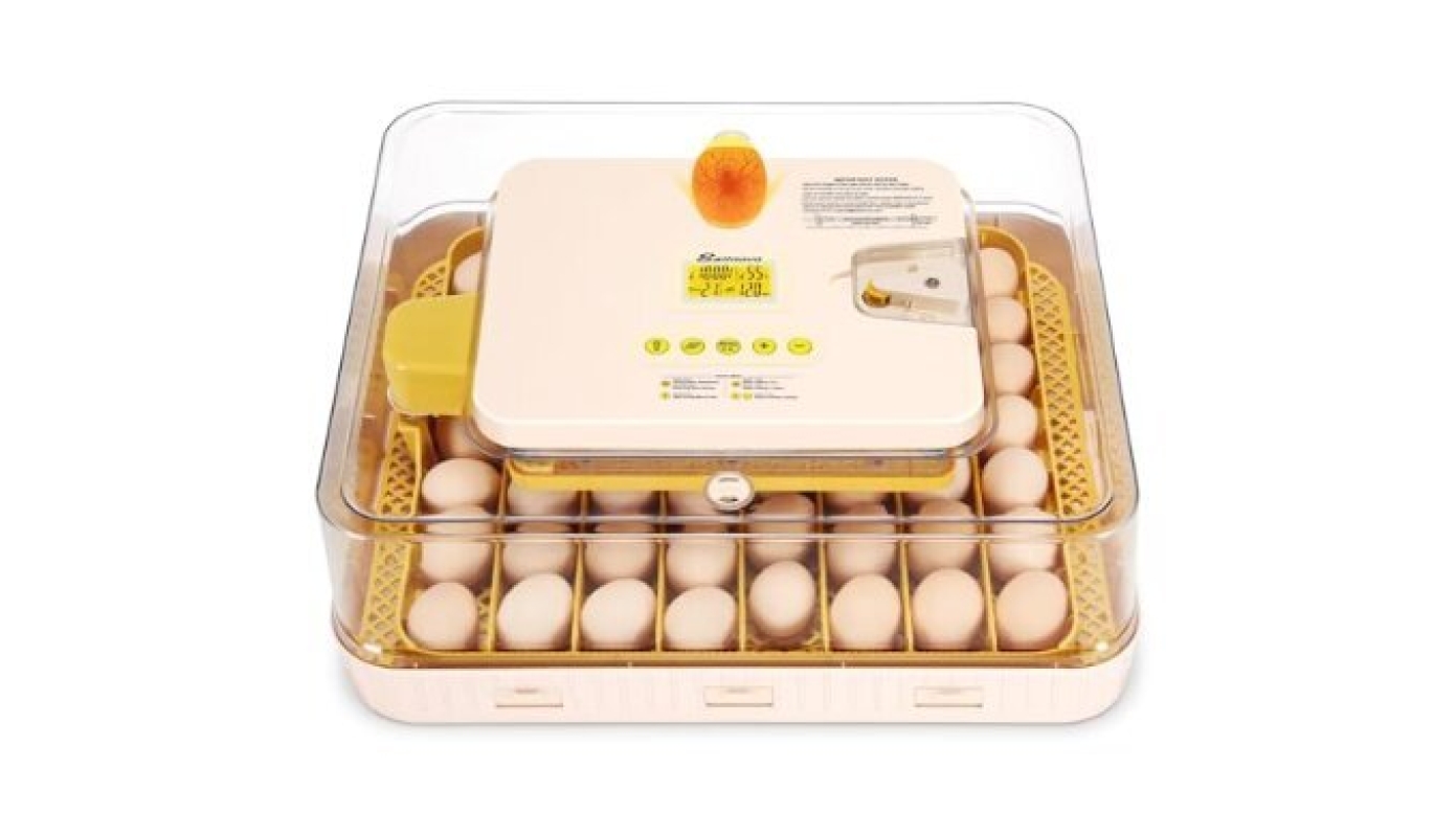 Efficient 56 Egg Incubator for Poultry - Auto Turn & Humidity Control