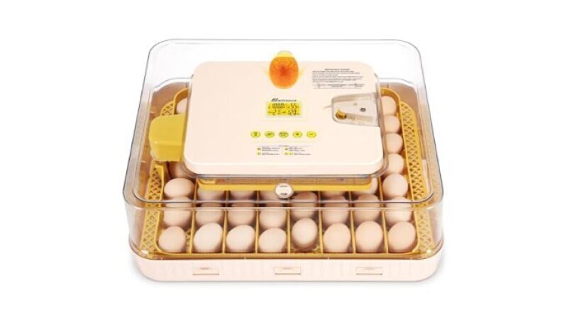 Efficient 56 Egg Incubator for Poultry - Auto Turn & Humidity Control