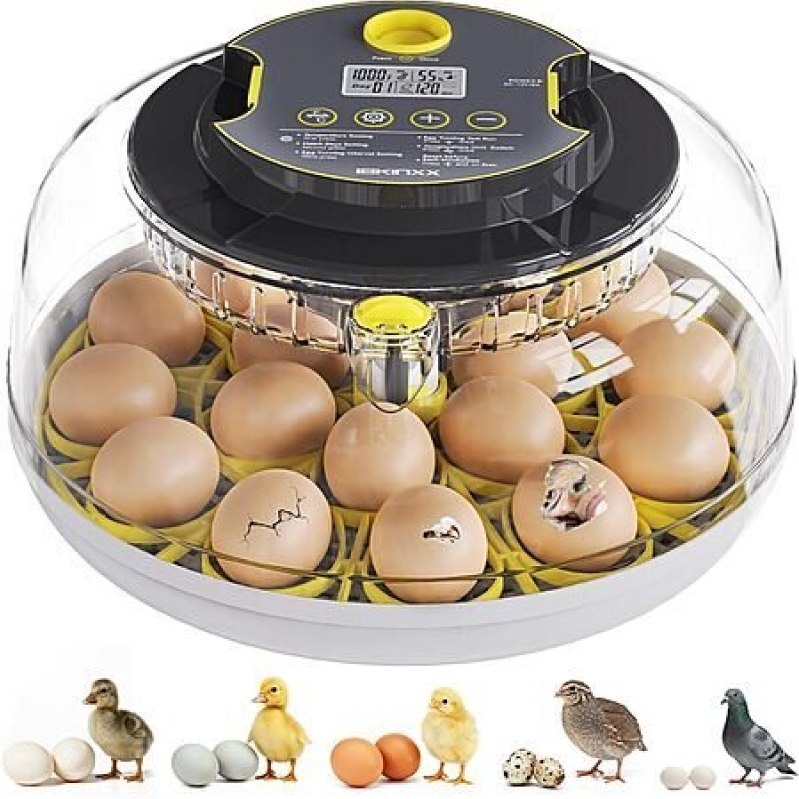 18-Egg Ibkinxx Automatic Egg Incubator - Smart Poultry Solution