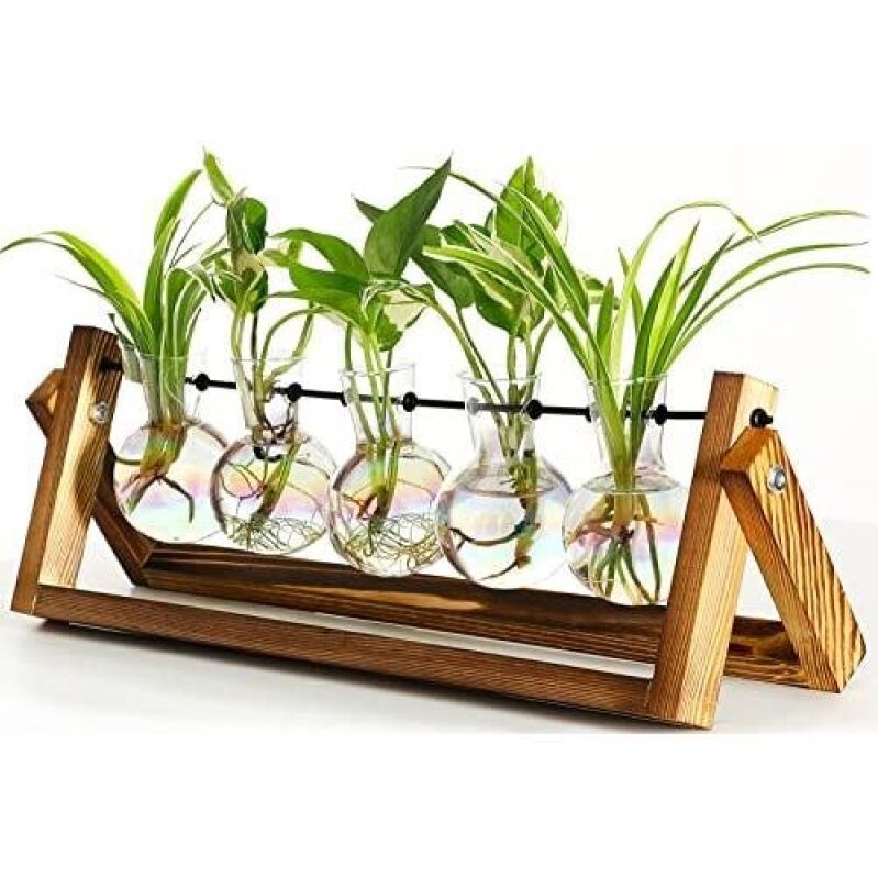 Wooden Wall-Mounted Hydroponic Planter with 5 Glass Vases - 50% OFF