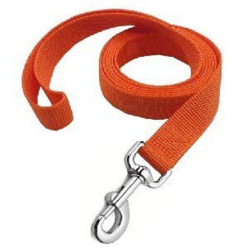 4ft Nylon Dog Leash for Medium to Large Dogs