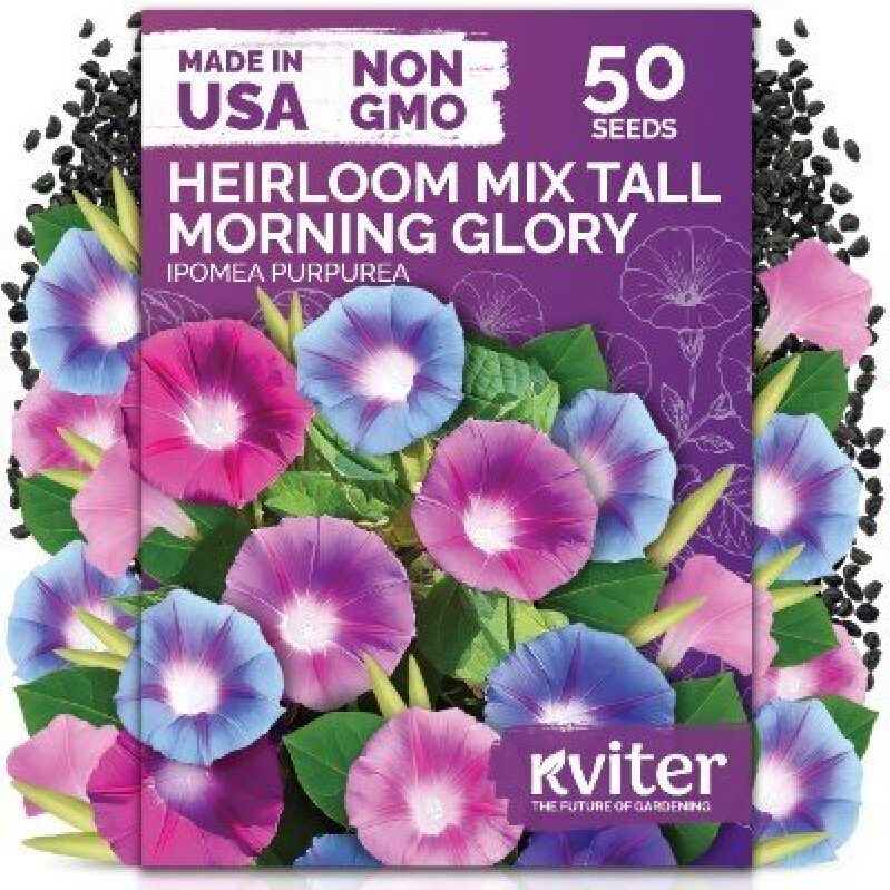 50-Pack Heirloom Mix Tall Morning Glory Seeds - Non-GMO, USA Made