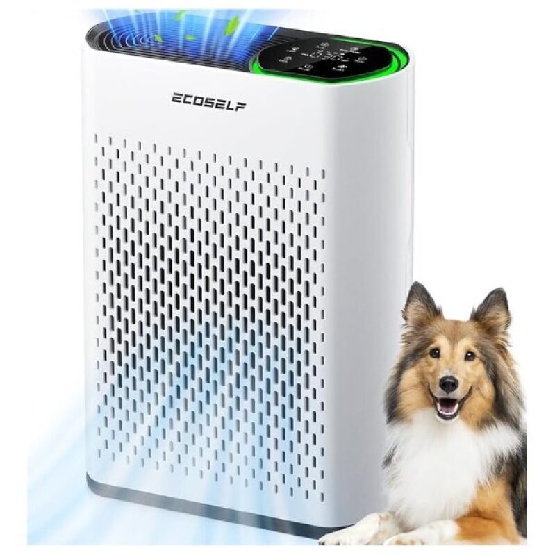 Ecoself 2,400 sq ft Air Purifier on Sale at Amazon - Save $210