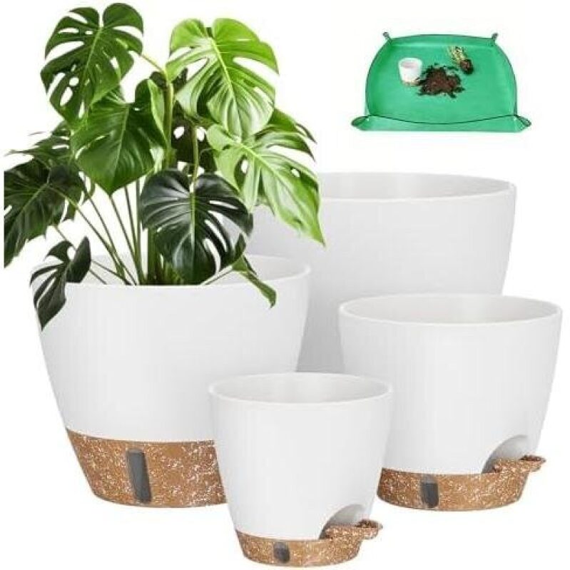 8-Piece Self-Watering Pot Set - 50% Discount