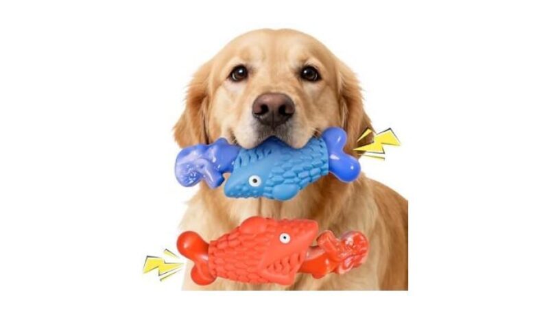 2 Pack Indestructible Dog Toys for Aggressive Chewers