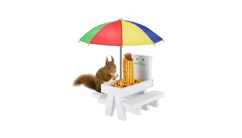 Sturdy MIXXIDEA Squirrel Feeder Table with Umbrella - Perfect for Outdoor Use