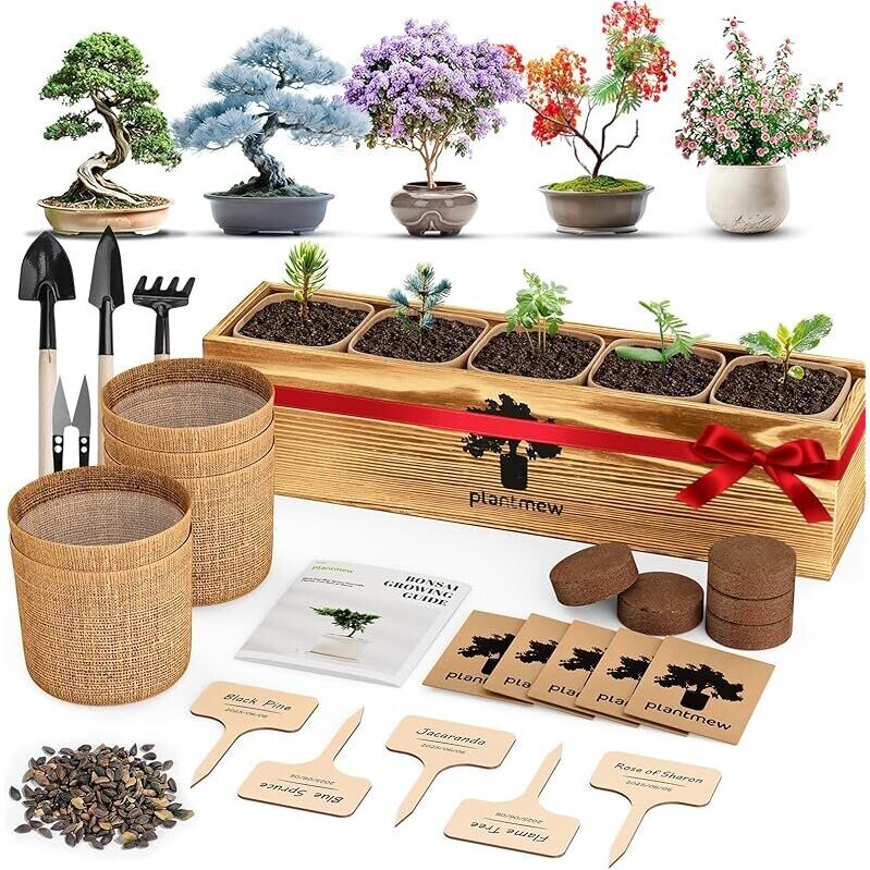 PLANTMEW Complete Beginner Bonsai Starter Kit - Ideal for Plant Enthusiasts