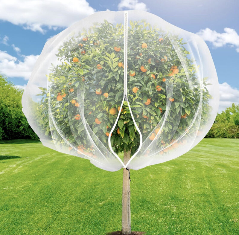 7.8 x 7.8 ft Large Fruit and Vegetable Pest Protection Net - Prime Free Shipping
