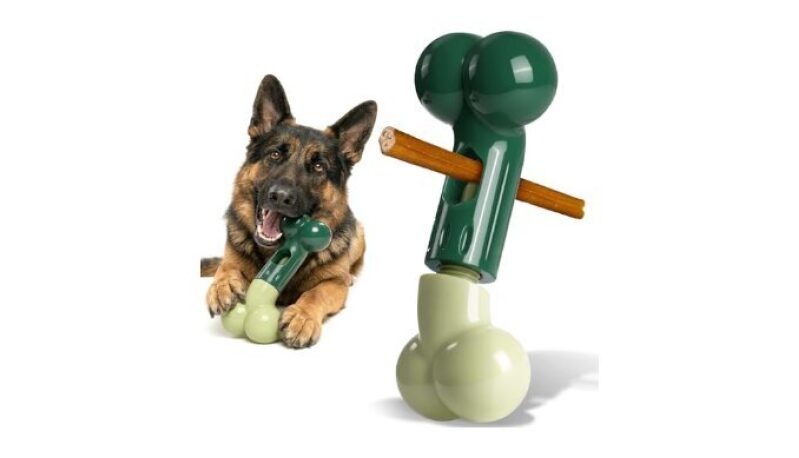 Apasiri Bully Stick Holder for Medium/Large Dogs - Safe & Durable