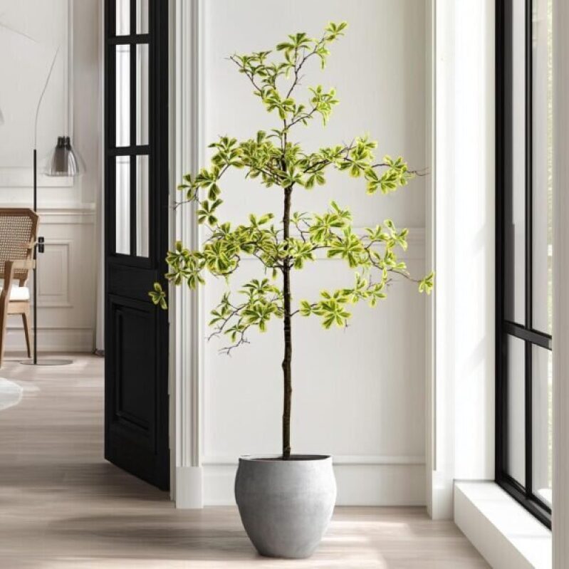 Erimda Faux Black Olive Tree - 5ft, 49% Off