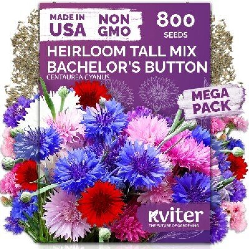 Kviter Bachelor's Button Mix Flower Seeds - 800 Non-GMO Heirloom Tall Mix