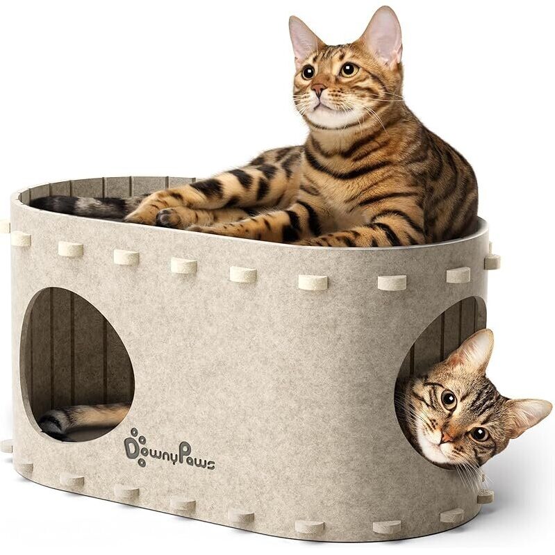 Dual-Function Cat House: Relax & Play for Indoor Cats