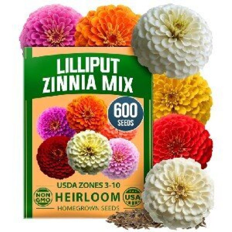 Lilliput Zinnia Mix Seeds - 600 Heirloom Flower Seeds for USDA Zones 3-10