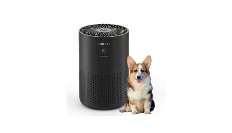KQLKJ H13 True HEPA Air Purifier with Fragrance Sponge for Home Bedroom