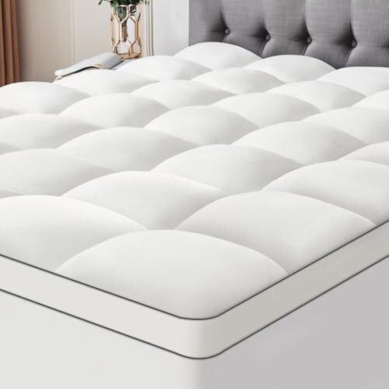 Super Soft Coral Velvet Mattress Protector - 60% Off