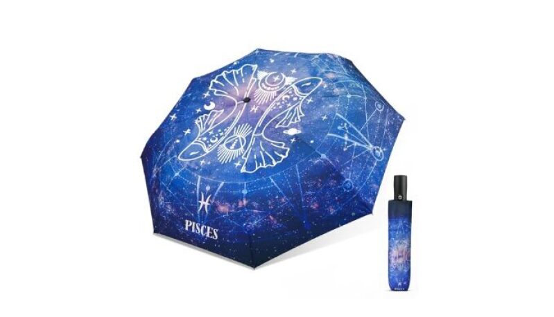 ECOBRELLA Travel Folding Umbrella with Constellation Pattern - Gift for Women and Kids