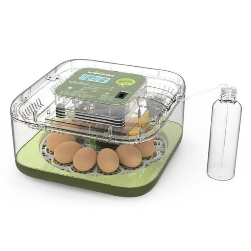 Automated Egg Incubator with Temperature Control and Humidity Alert - 12 Eggs Capacity