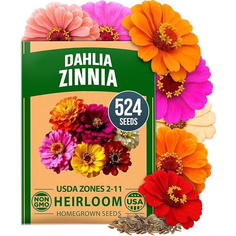 Large Pack of 524 Zinnia Dahlia Seeds - Brilliant Colors, Fast Growth